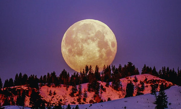 February 2023 Full Moon in Leo